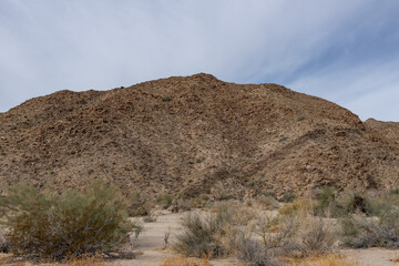 Cottonwood Mountains . Colorado Desert section of the Sonoran Desert. Joshua Tree National Park, California.