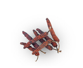 dry  indian long pepper isolated on a white