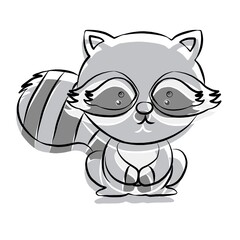 Raccoon, raccoon picture , animal, beautiful images used in general work.