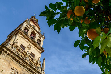 The Bell Tower of  Mosque-Cathedral of Cordoba in the Patio de los Naranjos
