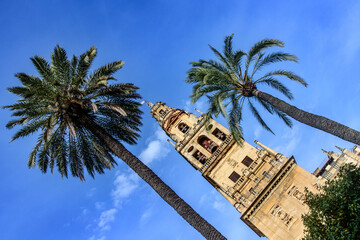 The Bell Tower of  Mosque-Cathedral of Cordoba in the Patio de los Naranjos