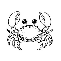 crab, crab picture , animal, beautiful images used in general work.