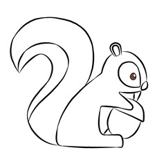 squirrel, squirrel picture , animal, beautiful images used in general work.
