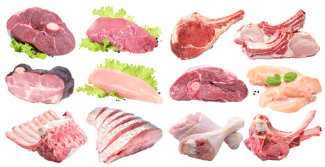 Collection of meat isolated