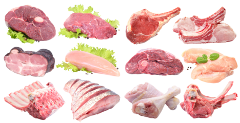 Collection of meat isolated