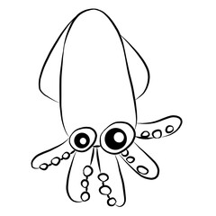 squid, squid picture , animal, beautiful images used in general work.