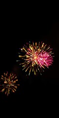 Abstract explosion of colorful fireworks against a dark sky with copy space, colorful, blank