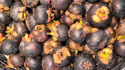 Mangosteen is a fruit in Thailand.