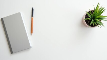 Minimalist Desk Setup with Succulent and Notebook