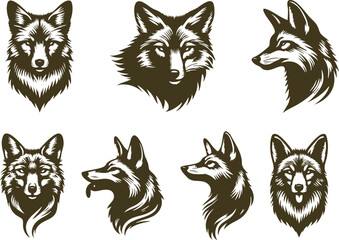 Rustic Jackal Head Artwork for Creative Designs
