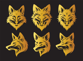golden Bold Jackal Profile for Wildlife Projects
