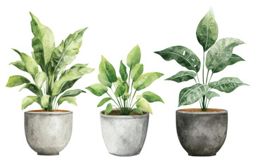 Fototapeta premium Vibrant Watercolor Plants in Ceramic Pots for Nature and Home Decor Designs