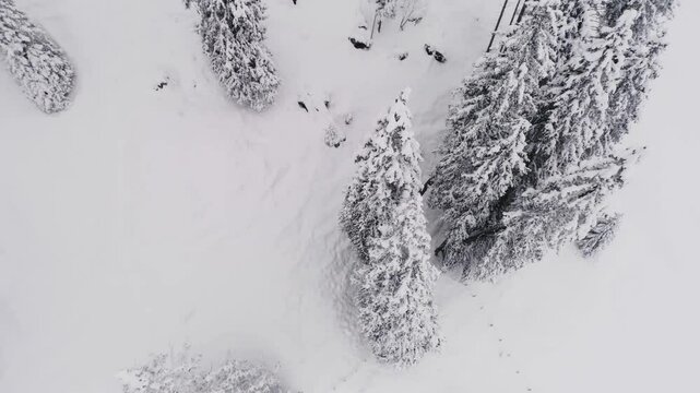 Aerial view of snowy fir trees in the mountains on a cloudy day