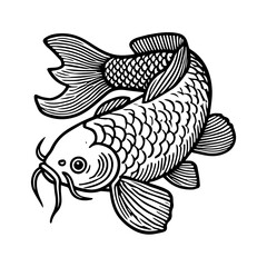black and white Koi  fishes vector illustration
