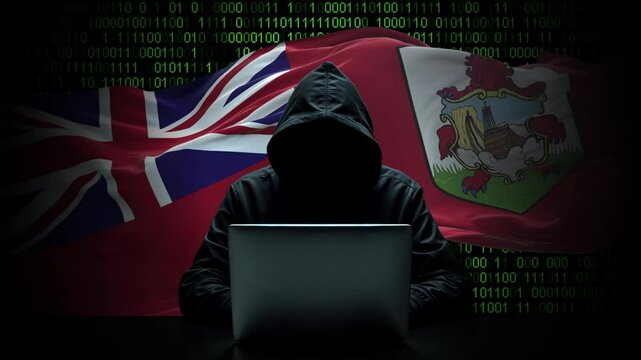 Bermuda flag - 3D realistic waving flag on matrix digital background with binary code