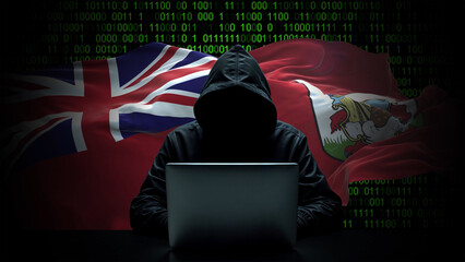 Bermuda flag - 3D realistic waving flag on matrix digital background with binary code