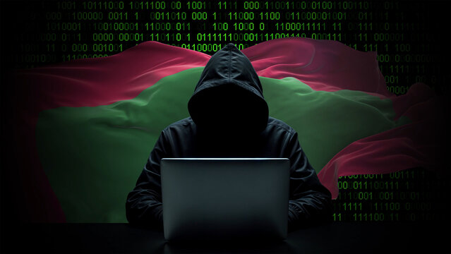 Maldives flag - 3D realistic waving flag on matrix digital background with binary code