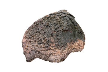 The trees.Rocks and Stone on the Mountain .Isolated on White background with clipping path