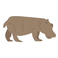 Hippo Illustration