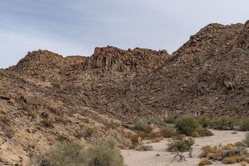 Fototapeta premium Mesozoi Plutonic Rocks, Gray biotite - rich granodiorite to quartz diorite. granite. Cottonwood Mountains . Colorado Desert section of the Sonoran Desert. Joshua Tree National Park, California. 