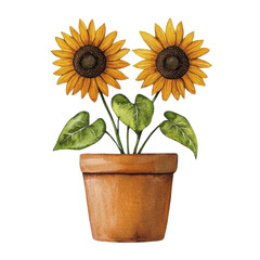 Obraz premium Watercolor Sunflowers in Pot, Botanical Art | Watercolor illustrations