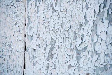 Peeling White Paint on Weathered Wood Surface Texture Background