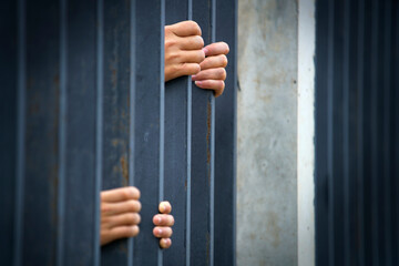 Obraz premium Hands Grasping Metal Bars Symbolizing Confinement and Imprisonment