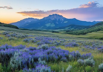 Fototapeta premium Stunning Sunrise Over Purple Wildflowers in Mountain Valley Setting with Majestic Peaks and Clear Sky, Creating a Breathtaking Natural Landscape Experience