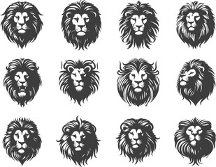 Wild Lion Head for Safari Art Projects
