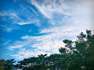 Obraz premium Bright blue sky with wispy white clouds