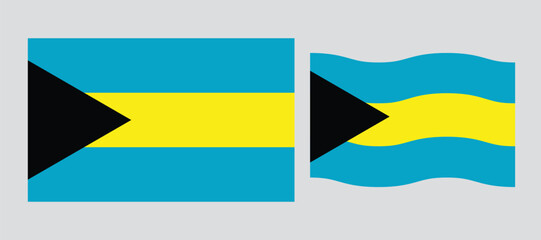 National flag of Bahamas . Bahamas patriotic symbol with official colors. perfect design for web or mobile app.