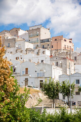 Houses and buildings in Monte Sant' Angelo, Puglia, Italy.
