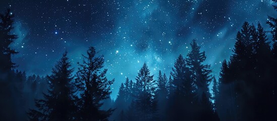 Fototapeta premium Starry Night Over a Silhouetted Forest