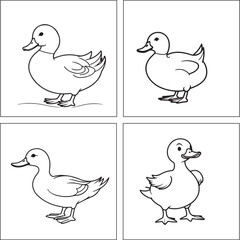 Duck Coloring Page