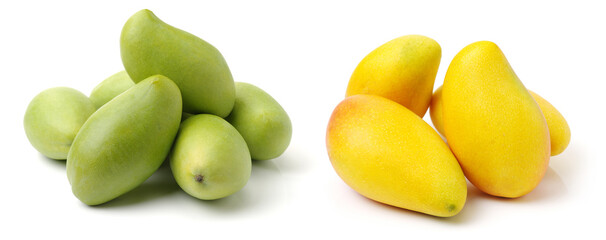 mangos on a white background