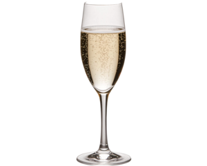 a glass of champagne with bubbles