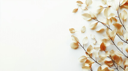 Delicate golden leaves scattered across a white background, creating an elegant and minimalist composition. The soft hues evoke a sense of calm and simplicity.