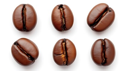 Fototapeta premium coffee bean brown roasted caffeine espresso seed