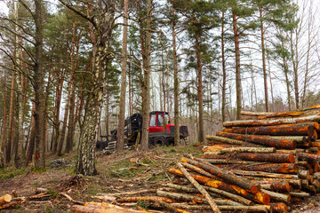 
A red tractor is doing logging work in the forest