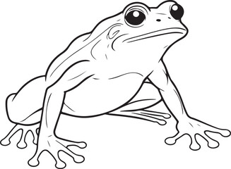 Frog Coloring Page