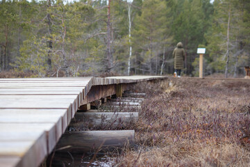 a wooden bridge in a swampy forest area and people walking on it