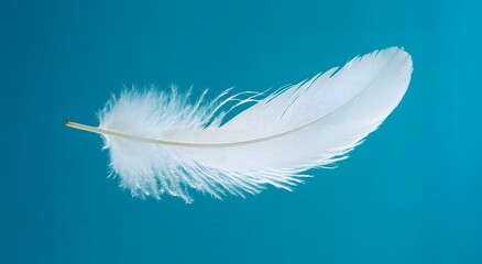 Obraz premium A single floating white feather floats in the air against a light blue background, highlighting the softness of the feather. Representing a feeling of calm and tranquility. It looks very beautiful.