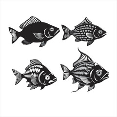 Fish Vector