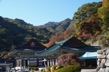 temples and mountains