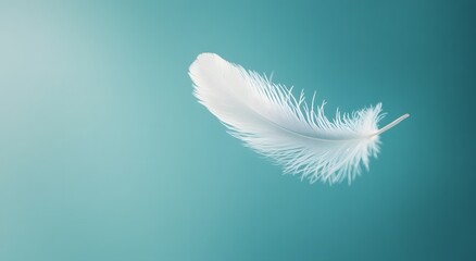 A single floating white feather floats in the air against a light blue background, highlighting the softness of the feather. Representing a feeling of calm and tranquility. It looks very beautiful.