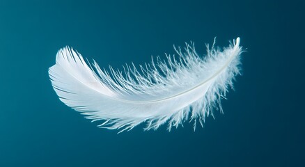 Obraz premium A single floating white feather floats in the air against a light blue background, highlighting the softness of the feather. Representing a feeling of calm and tranquility. It looks very beautiful.