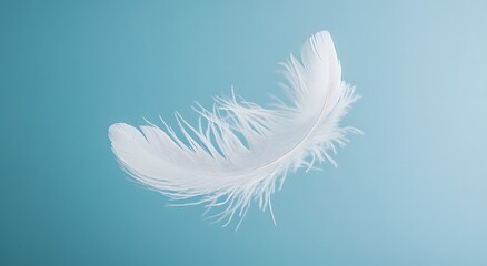 A single floating white feather floats in the air against a light blue background, highlighting the softness of the feather. Representing a feeling of calm and tranquility. It looks very beautiful.