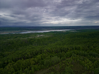 Beautiful landscape with a green wild forest observed from above the trees. Aerial photo shoot with drone in the summer season, in cloudy weather