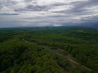 Obraz premium Beautiful landscape with a green wild forest observed from above the trees. Aerial photo shoot with drone in the summer season, in cloudy weather