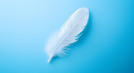 Obraz premium A single floating white feather floats in the air against a light blue background, highlighting the softness of the feather. Representing a feeling of calm and tranquility. It looks very beautiful.